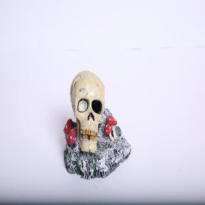 دکور آکواریوم مدل اسکلت کد 220