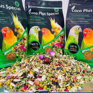 غذای کوکو عروس هلندی