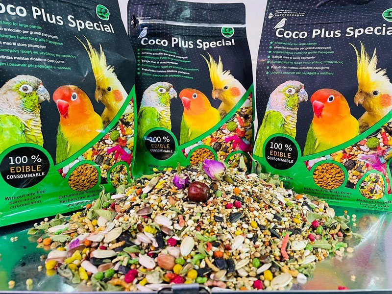 CKSG1NZtelhfQ8Ty غذای کوکو عروس هلندی - Image 1