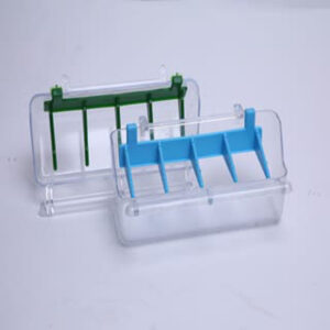 جادونی پرنده