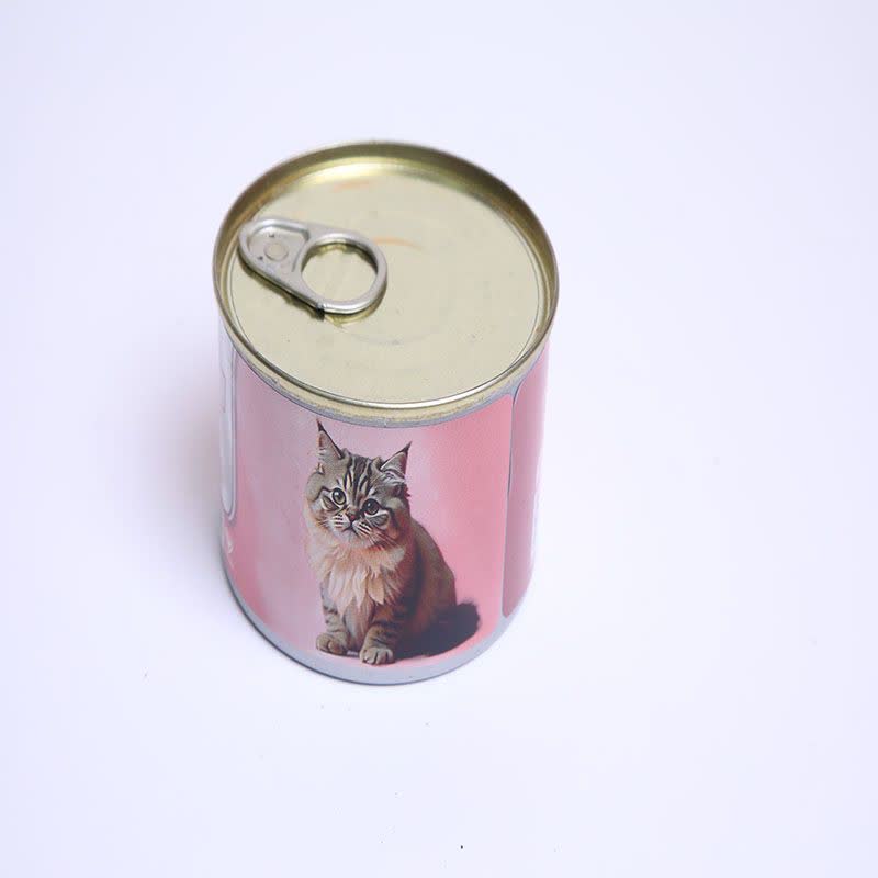 photo23107763303 کنسرو پته سلبن 180 گرم - Image 1