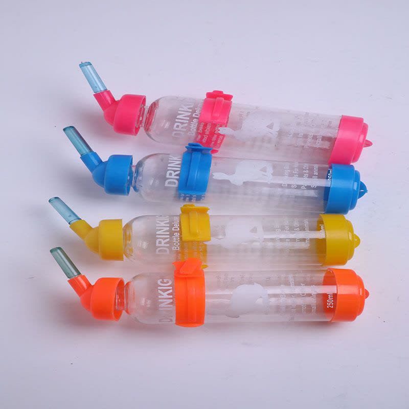 photo23731977244 جا آبی خرگوش - Image 1